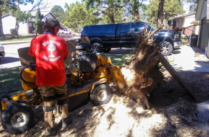 Stump Removal Colorado Springs