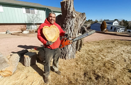 Tree Removal Manitou Springs